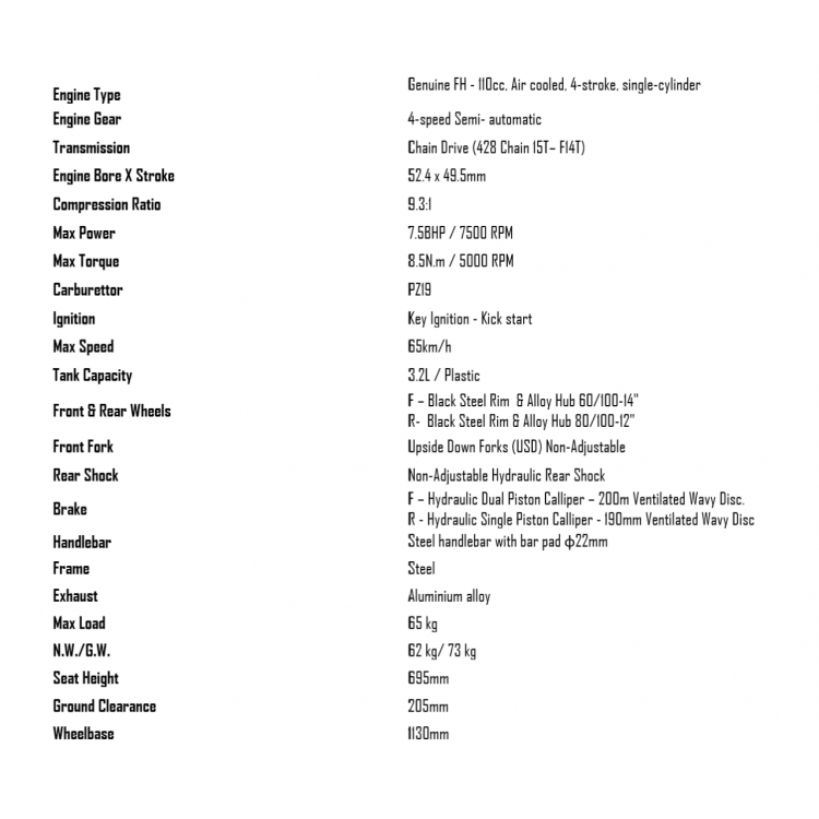 RFN Thunder 110 Pro 110cc Air cooled, 4 Stroke, Single cylinder